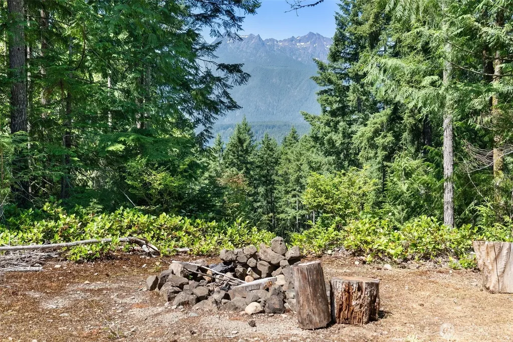 5154 N Lake Cushman Road Hoodsport WA 98548