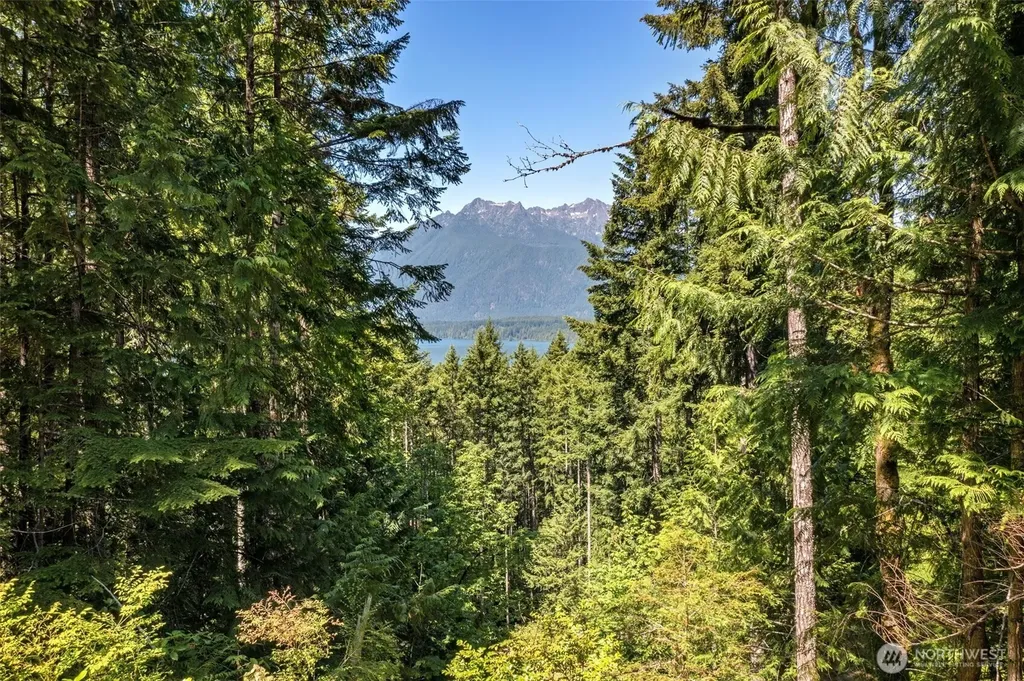 5154 N Lake Cushman Road Hoodsport WA 98548