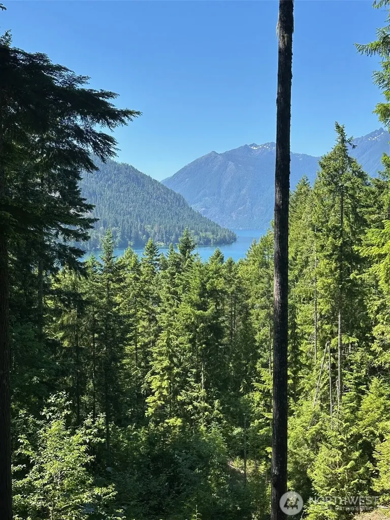 5156 N Lake Cushman Road Hoodsport WA 98548
