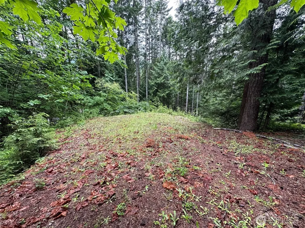5156 N Lake Cushman Road Hoodsport WA 98548