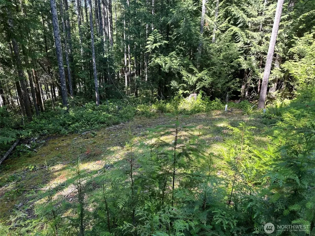 5156 N Lake Cushman Road Hoodsport WA 98548