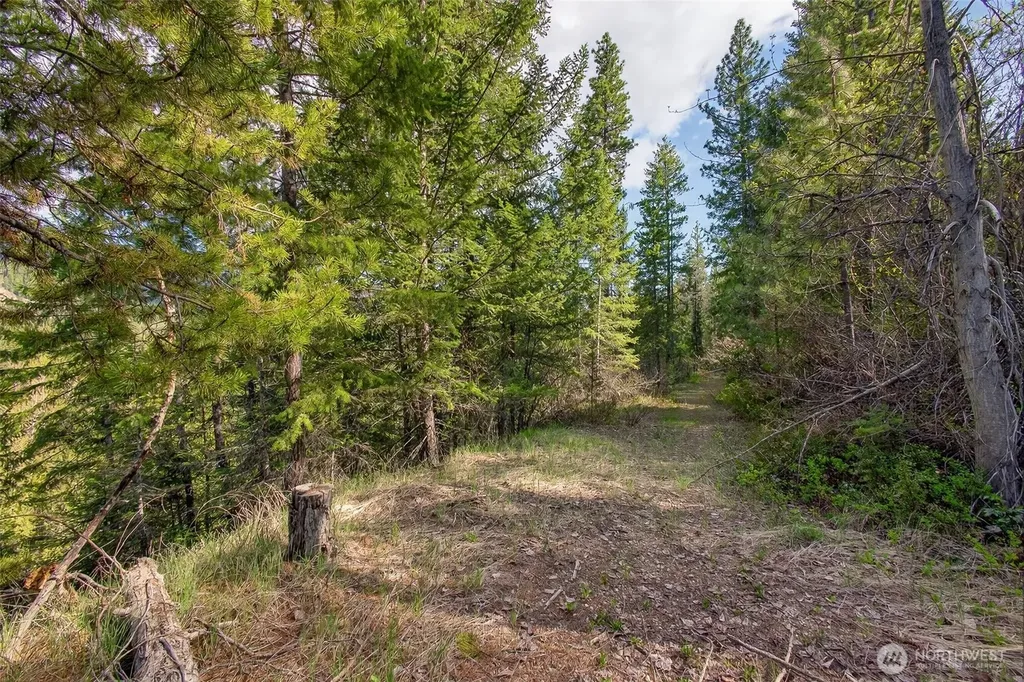 0 Salal Drive Leavenworth WA 98826