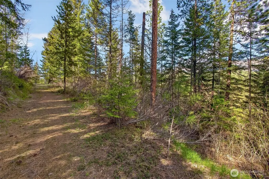 0 Salal Drive Leavenworth WA 98826
