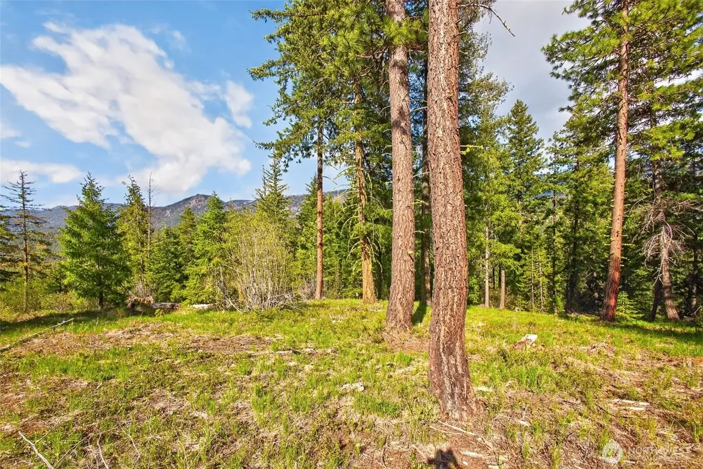 0 Salal Drive Leavenworth WA 98826