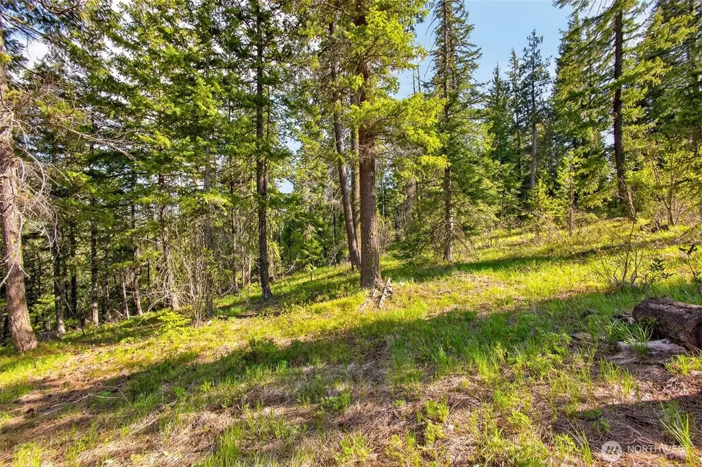 0 Salal Drive Leavenworth WA 98826