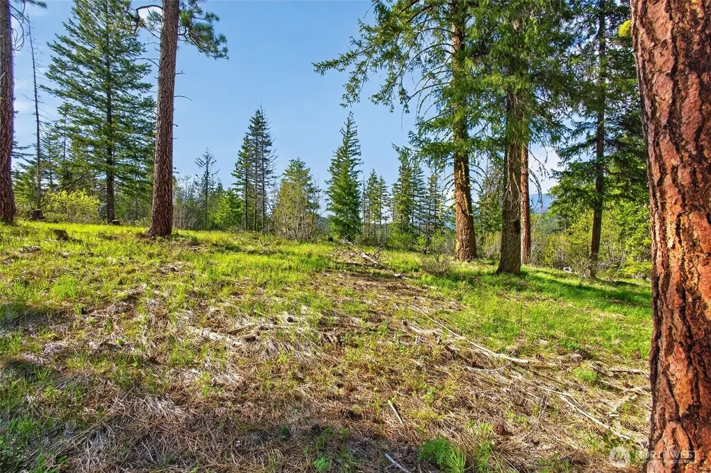 0 Salal Drive Leavenworth WA 98826