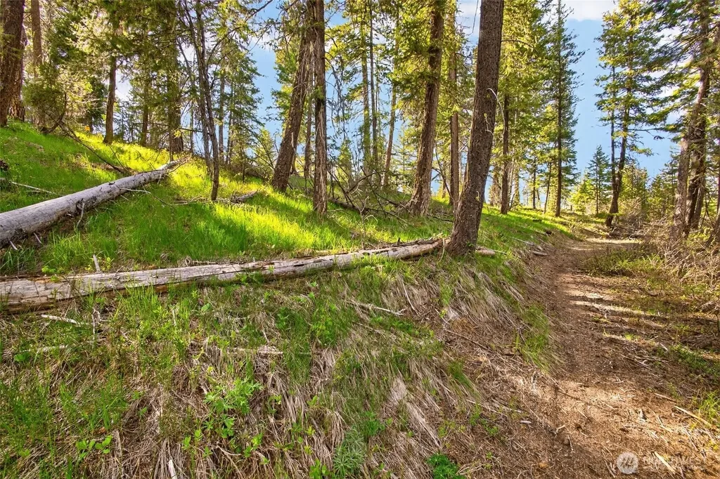 0 Salal Drive Leavenworth WA 98826