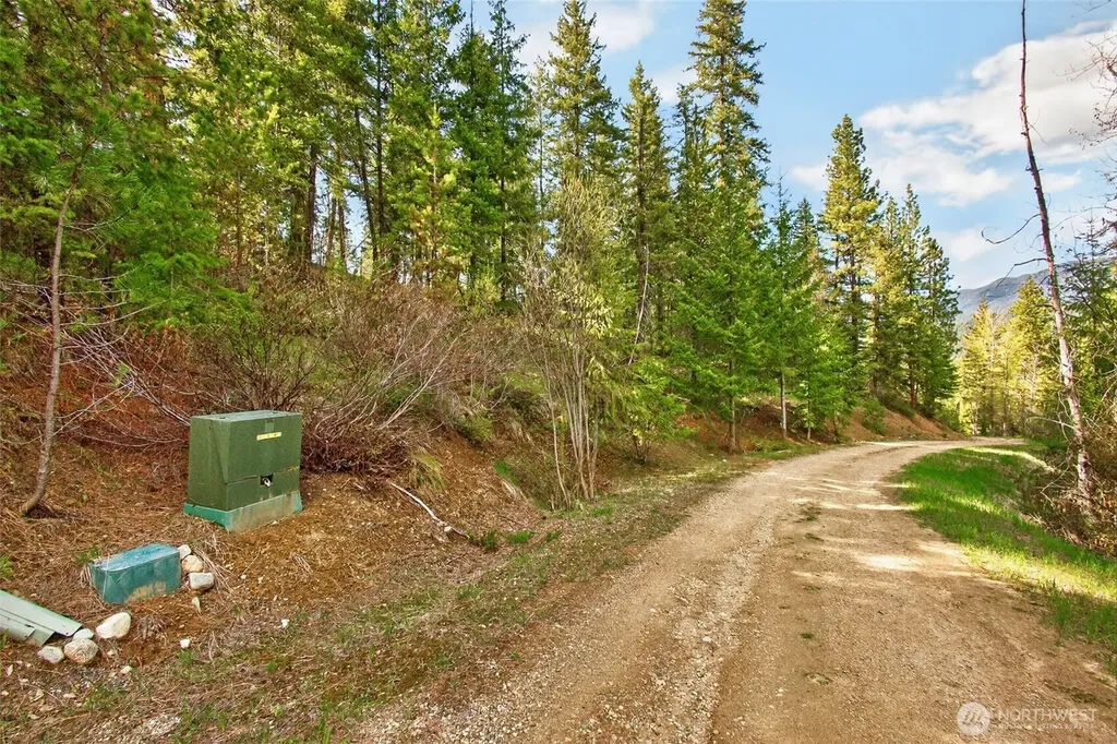 0 Salal Drive Leavenworth WA 98826