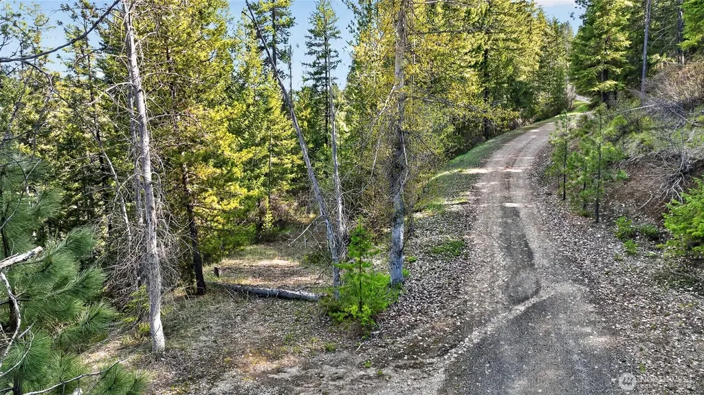 0 Salal Drive Leavenworth WA 98826