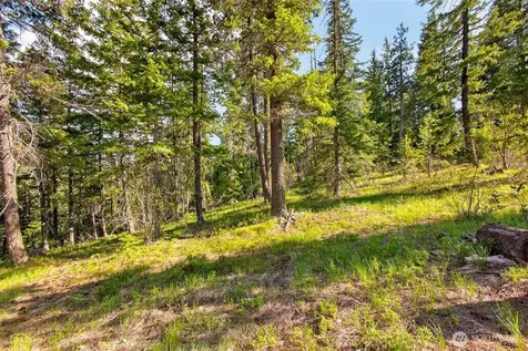 0 Salal Drive Leavenworth WA 98826