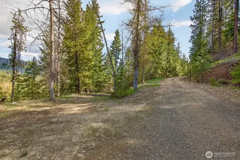 0 Salal Drive Leavenworth WA 98826