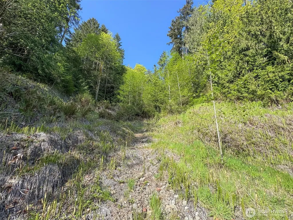 9999 Cottonwood Lane Port Angeles WA 98362