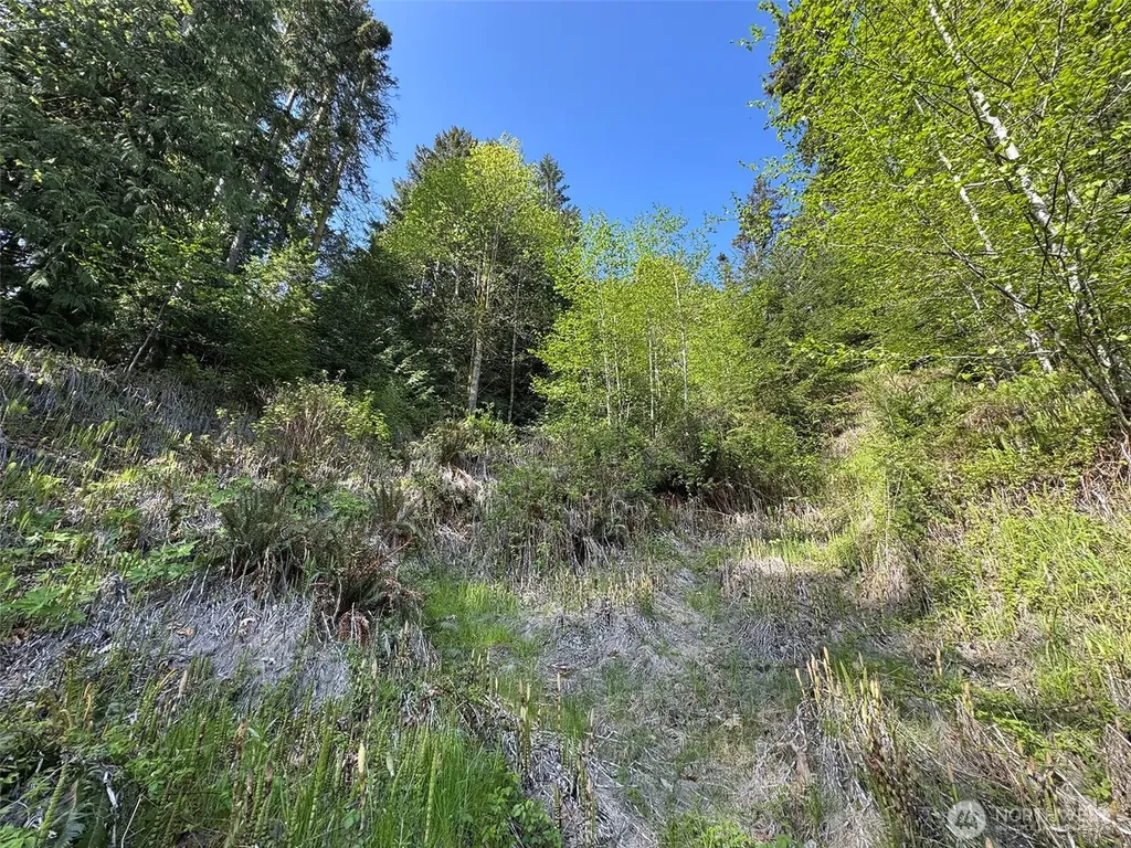 9999 Cottonwood Lane Port Angeles WA 98362