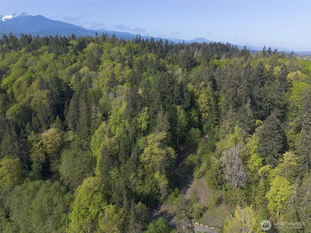 9999 Cottonwood Lane Port Angeles WA 98362