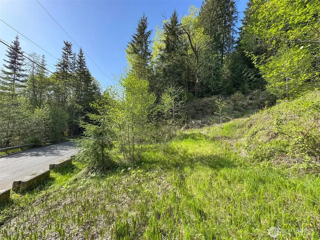9999 Cottonwood Lane Port Angeles WA 98362