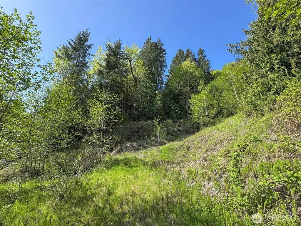 9999 Cottonwood Lane Port Angeles WA 98362