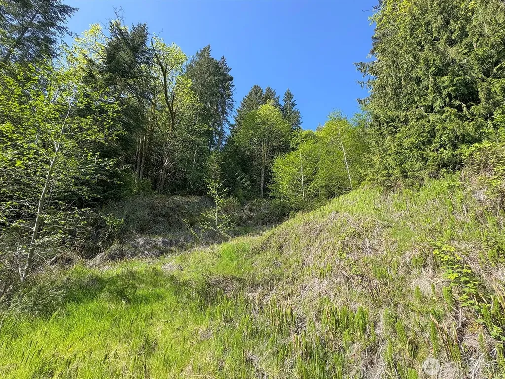 9999 Cottonwood Lane Port Angeles WA 98362