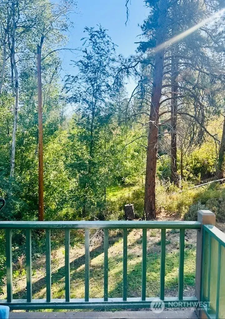 146 E Chewuch Road Winthrop WA 98862