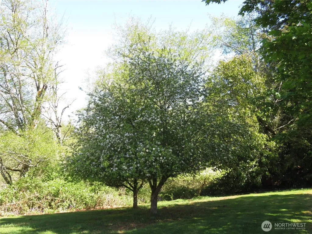 19 Linda Lane Montesano WA 98563