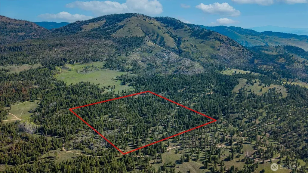 0 Tbd Mineral Hill Road Conconully WA 98819
