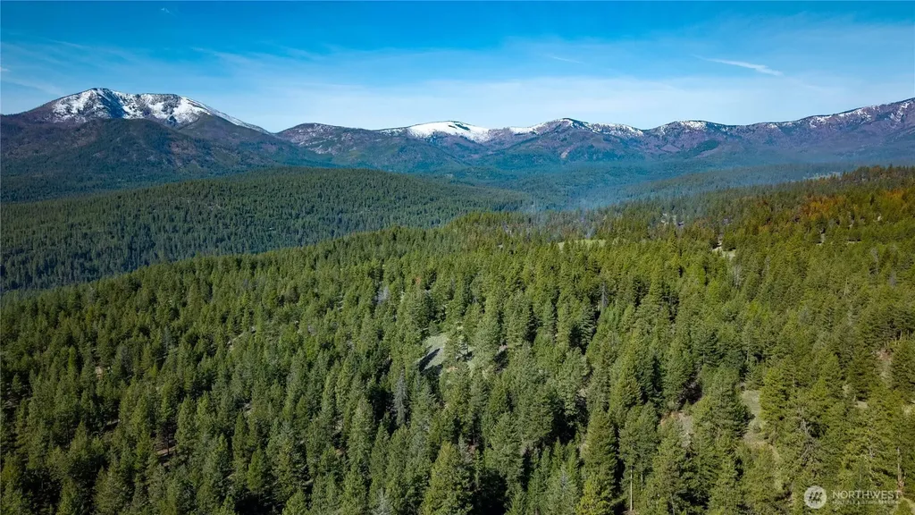 0 Tbd Mineral Hill Road Conconully WA 98819