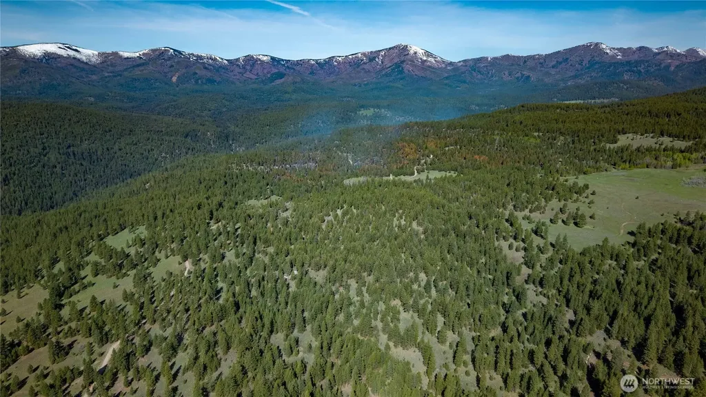 0 Tbd Mineral Hill Road Conconully WA 98819