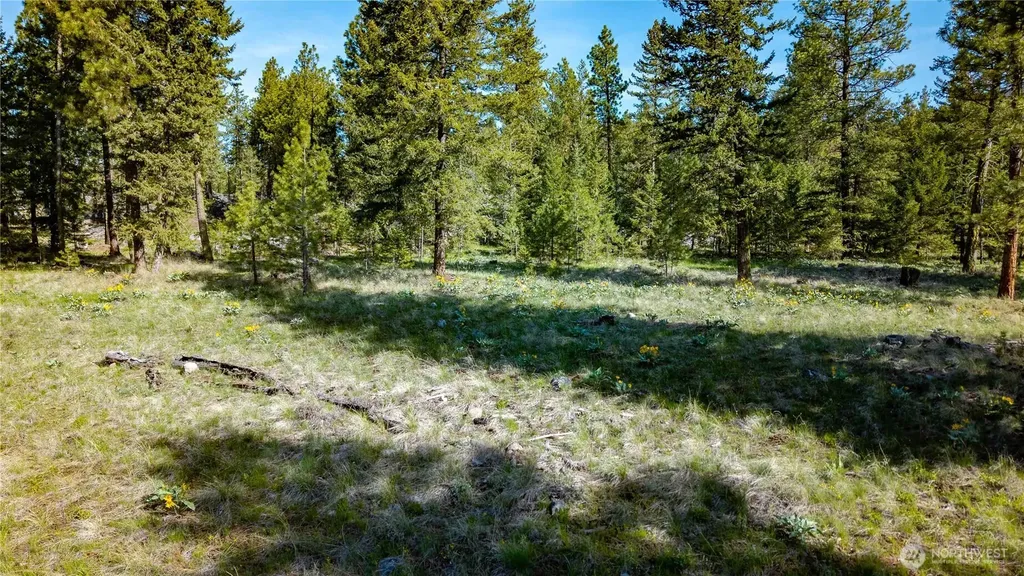 0 Tbd Mineral Hill Road Conconully WA 98819