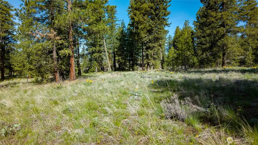 0 Tbd Mineral Hill Road Conconully WA 98819