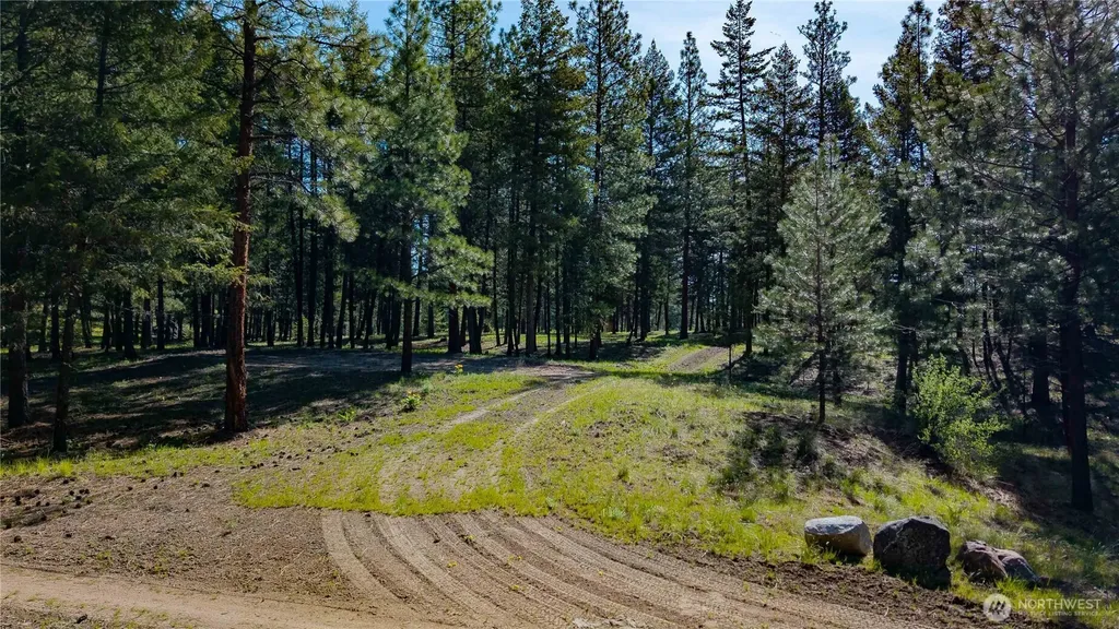 0 Tbd Mineral Hill Road Conconully WA 98819
