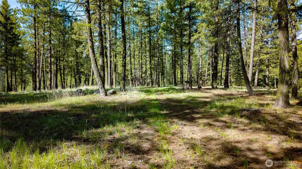0 Tbd Mineral Hill Road Conconully WA 98819