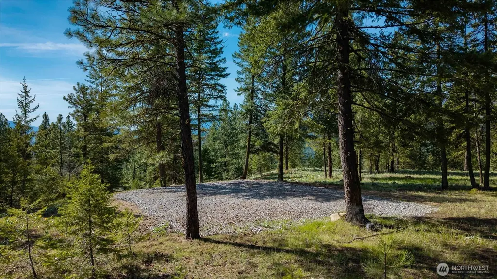 0 Tbd Mineral Hill Road Conconully WA 98819