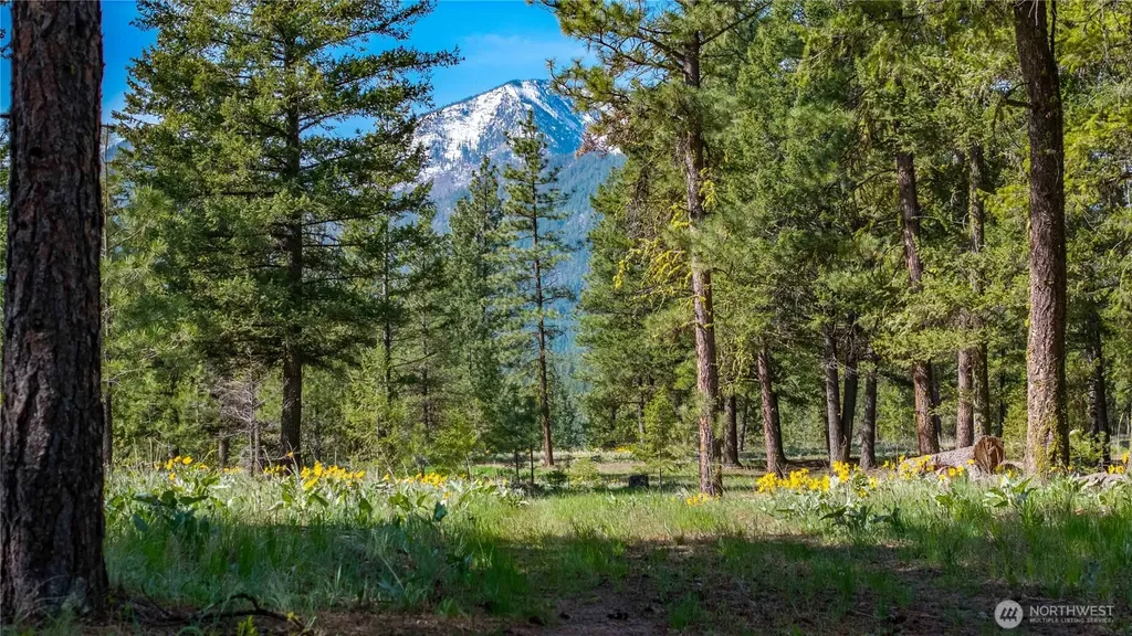 0 Tbd Mineral Hill Road Conconully WA 98819
