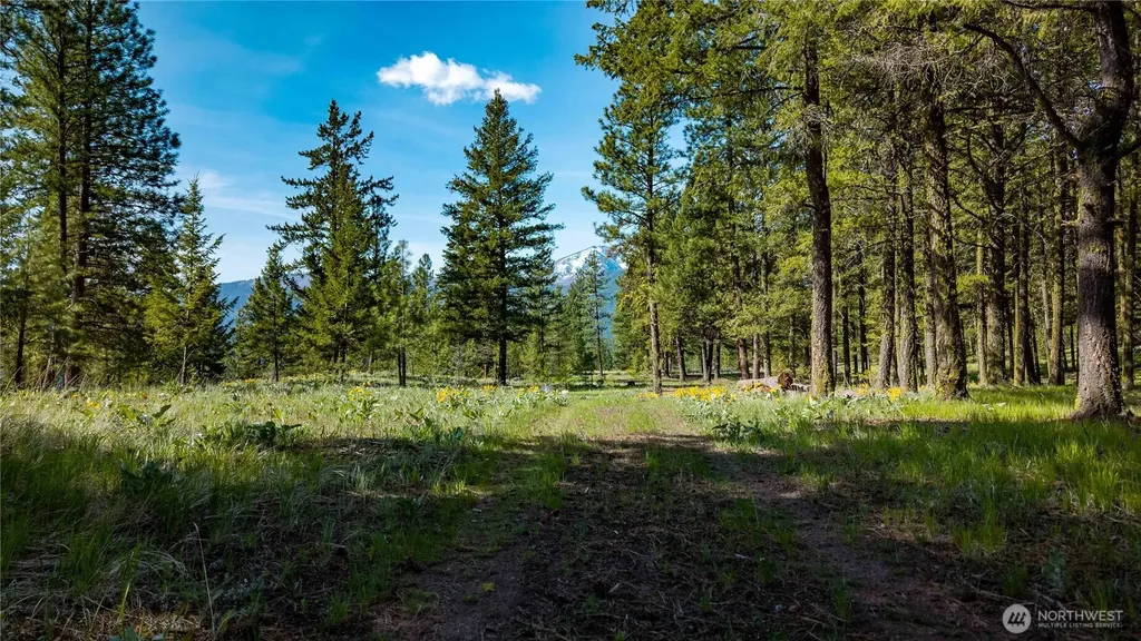 0 Tbd Mineral Hill Road Conconully WA 98819