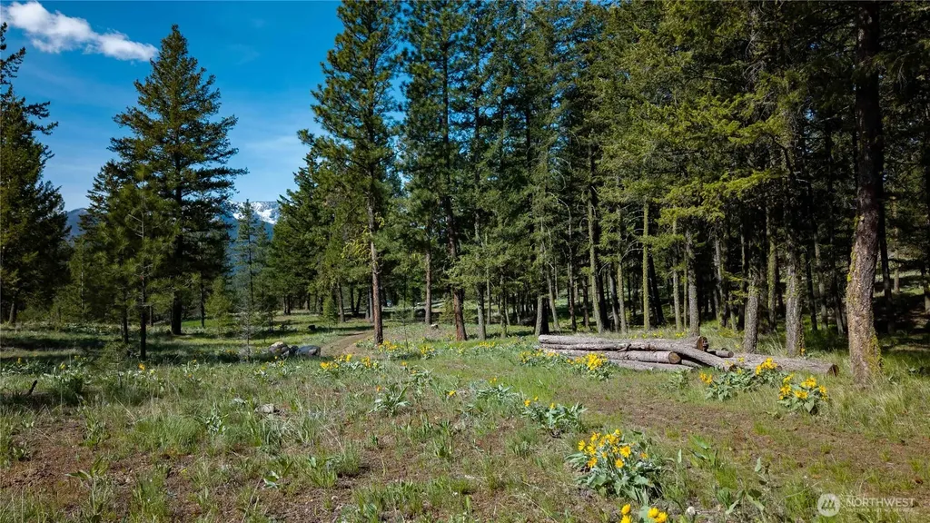 0 Tbd Mineral Hill Road Conconully WA 98819