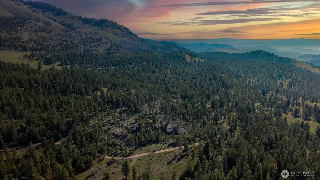 0 Tbd Mineral Hill Road Conconully WA 98819