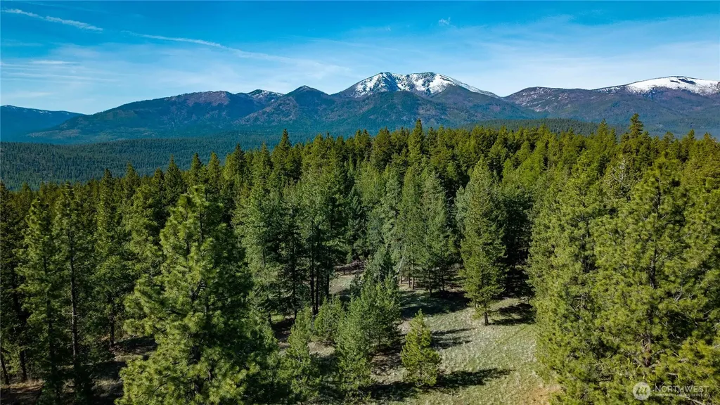 0 Tbd Mineral Hill Road Conconully WA 98819