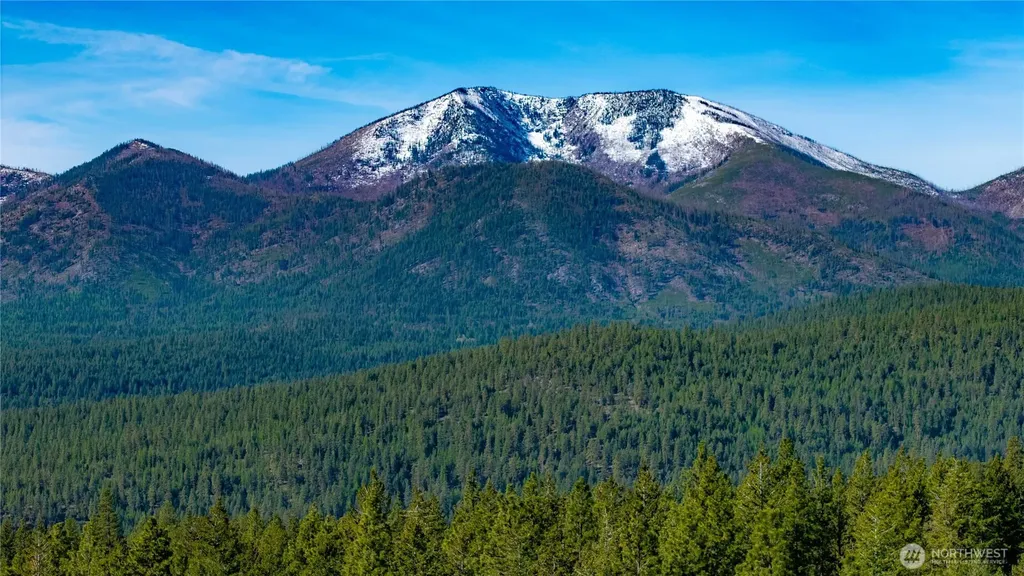 0 Tbd Mineral Hill Road Conconully WA 98819