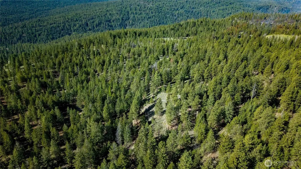 0 Tbd Mineral Hill Road Conconully WA 98819