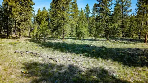0 Tbd Mineral Hill Road Conconully WA 98819