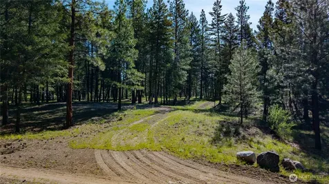 0 Tbd Mineral Hill Road Conconully WA 98819