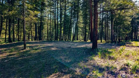 0 Tbd Mineral Hill Road Conconully WA 98819