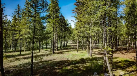 0 Tbd Mineral Hill Road Conconully WA 98819