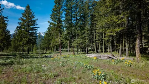 0 Tbd Mineral Hill Road Conconully WA 98819