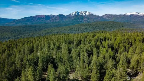 0 Tbd Mineral Hill Road Conconully WA 98819
