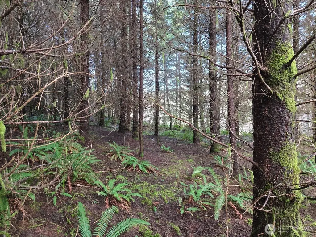 0 Workman Creek Road Elma WA 98541