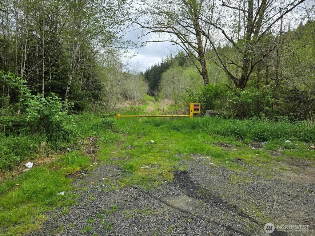 0 Workman Creek Road Elma WA 98541