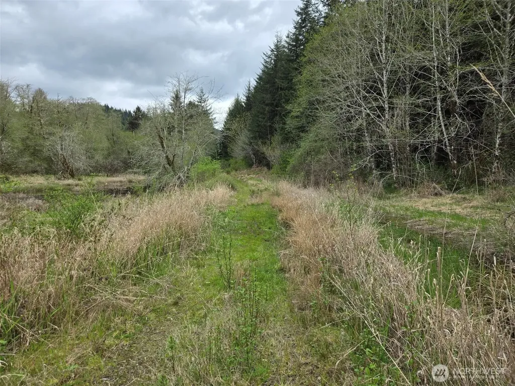 0 Workman Creek Road Elma WA 98541