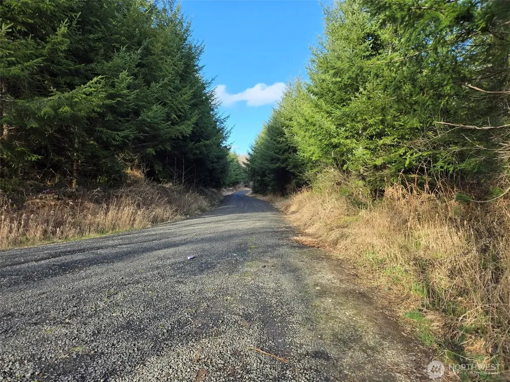 0 Workman Creek Road Elma WA 98541