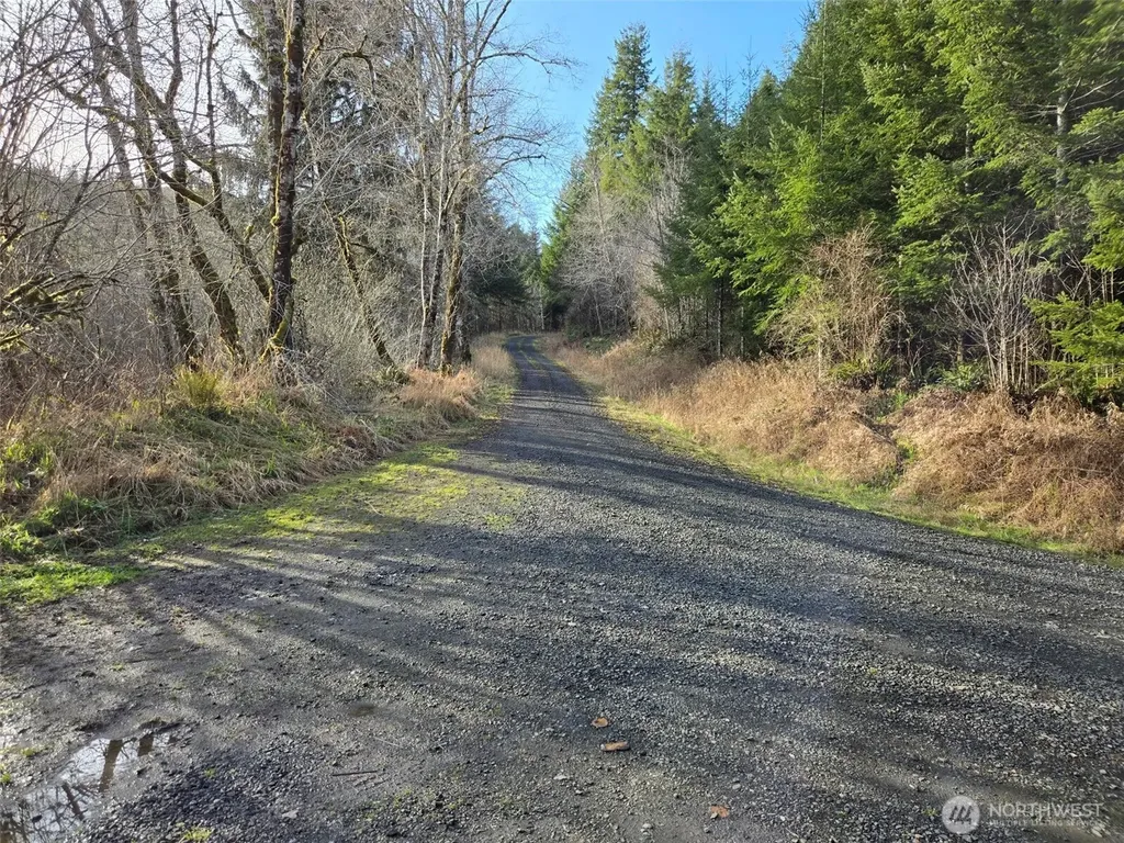 0 Workman Creek Road Elma WA 98541