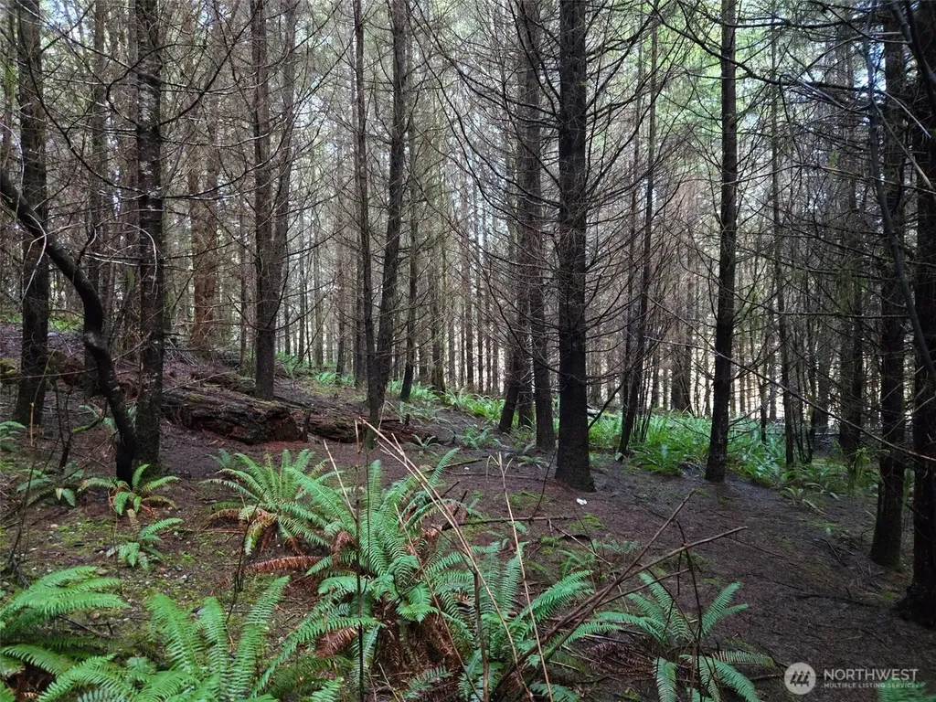 0 Workman Creek Road Elma WA 98541